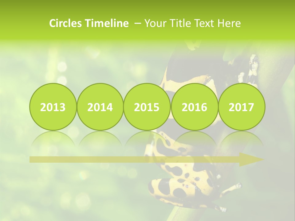 Ecology Reptile Poison PowerPoint Template