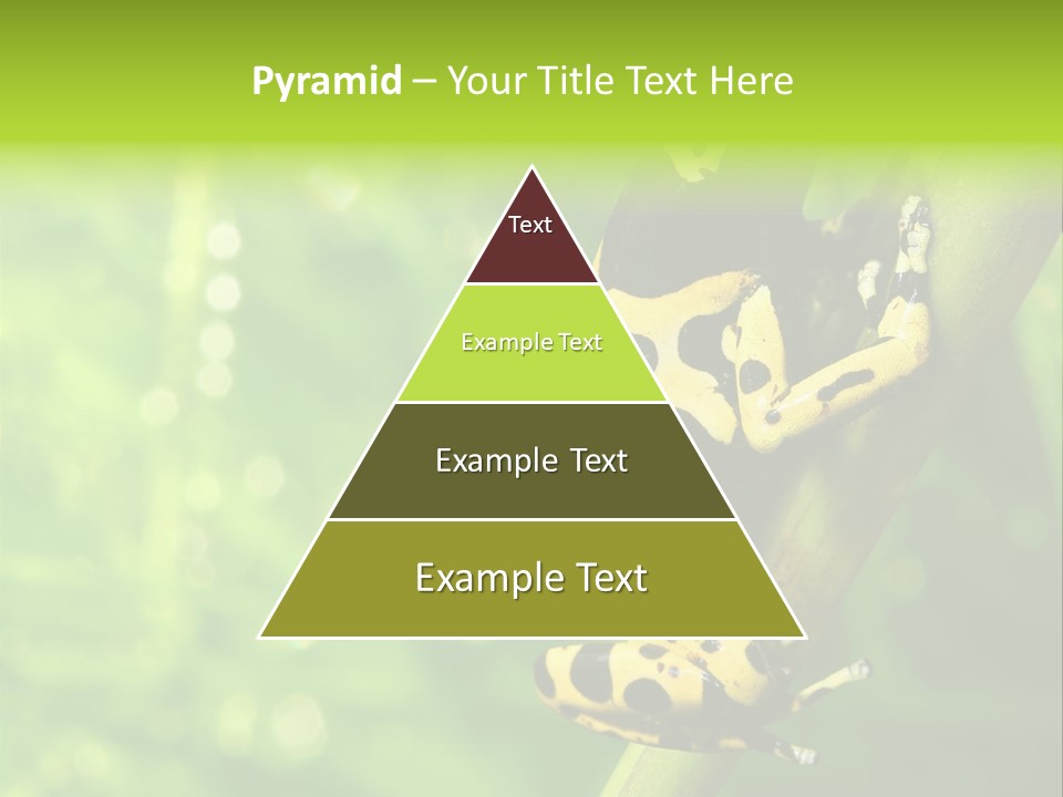 Ecology Reptile Poison PowerPoint Template