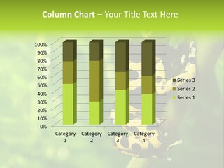 Ecology Reptile Poison PowerPoint Template