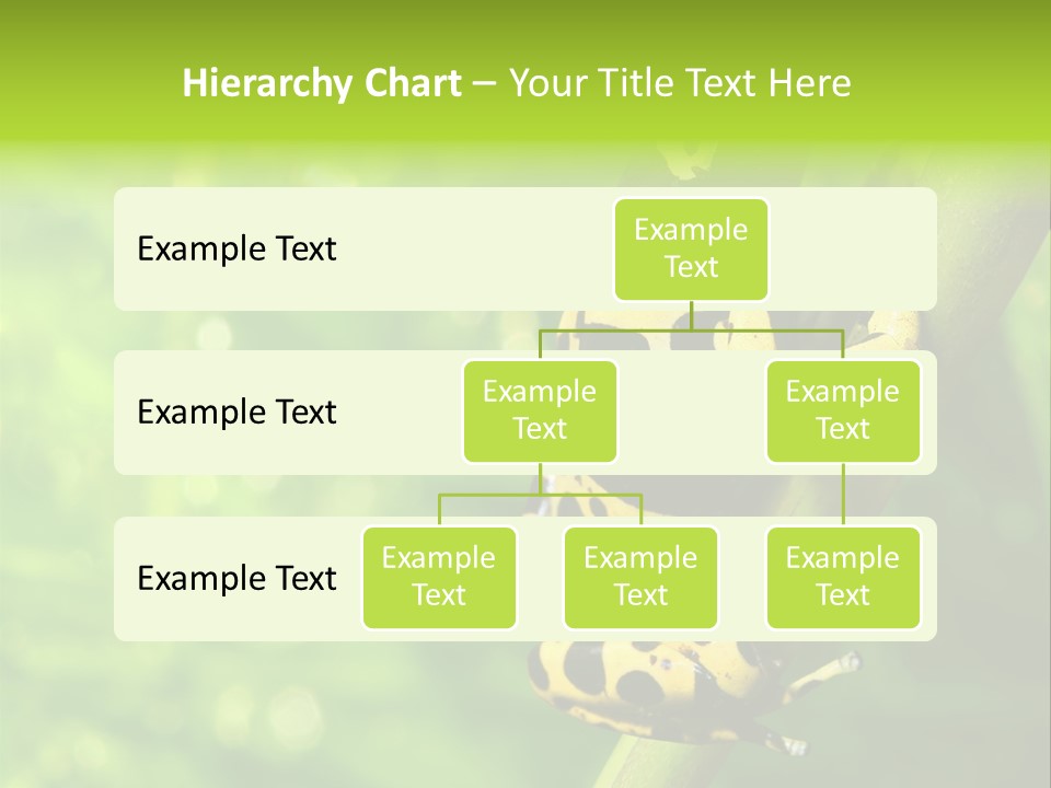 Ecology Reptile Poison PowerPoint Template