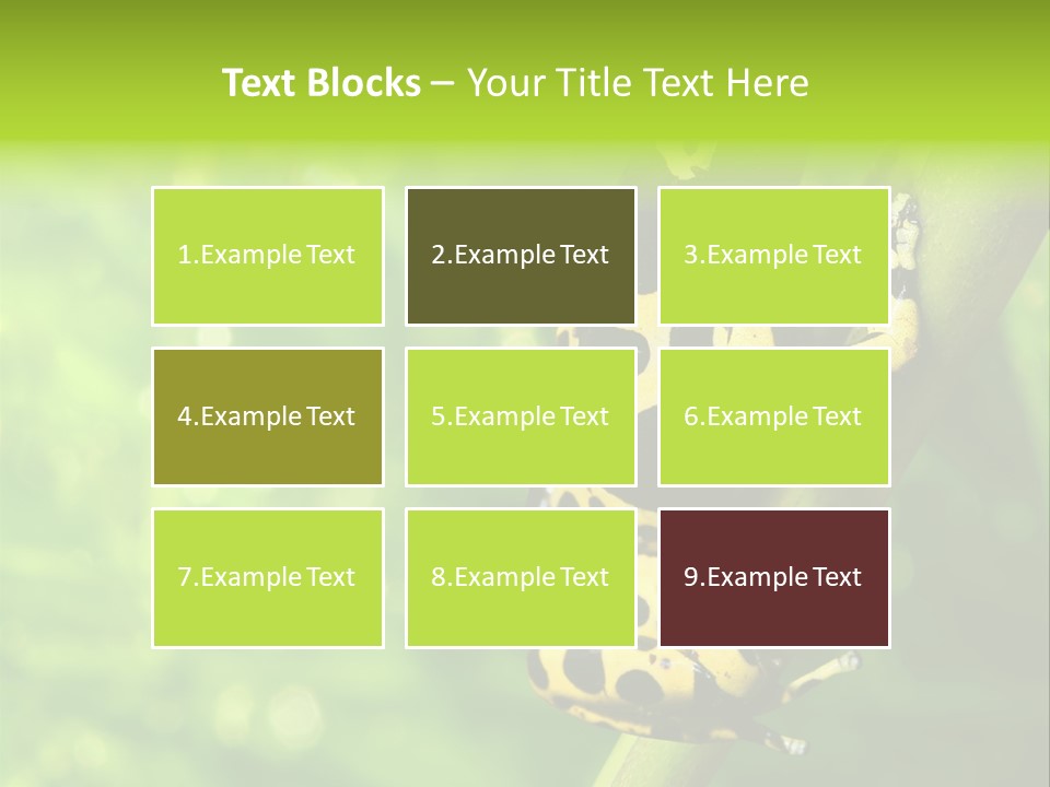 Ecology Reptile Poison PowerPoint Template