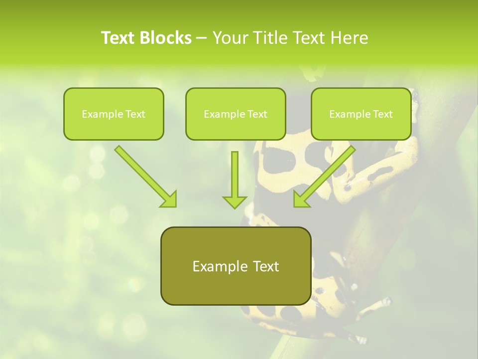 Ecology Reptile Poison PowerPoint Template