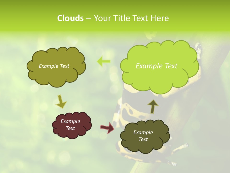 Ecology Reptile Poison PowerPoint Template
