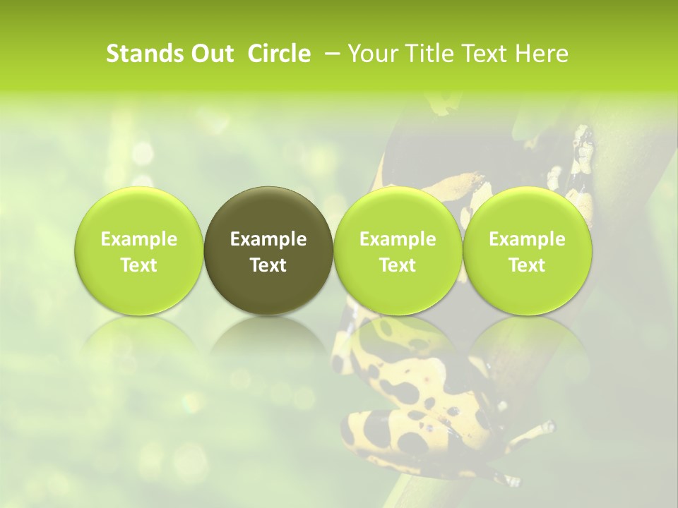 Ecology Reptile Poison PowerPoint Template