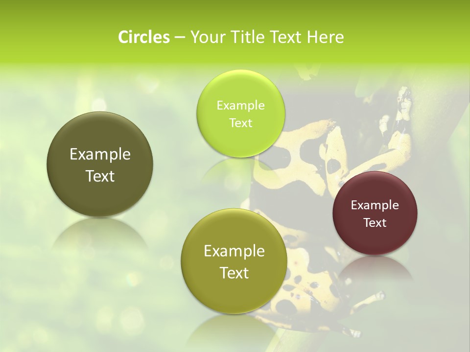 Ecology Reptile Poison PowerPoint Template