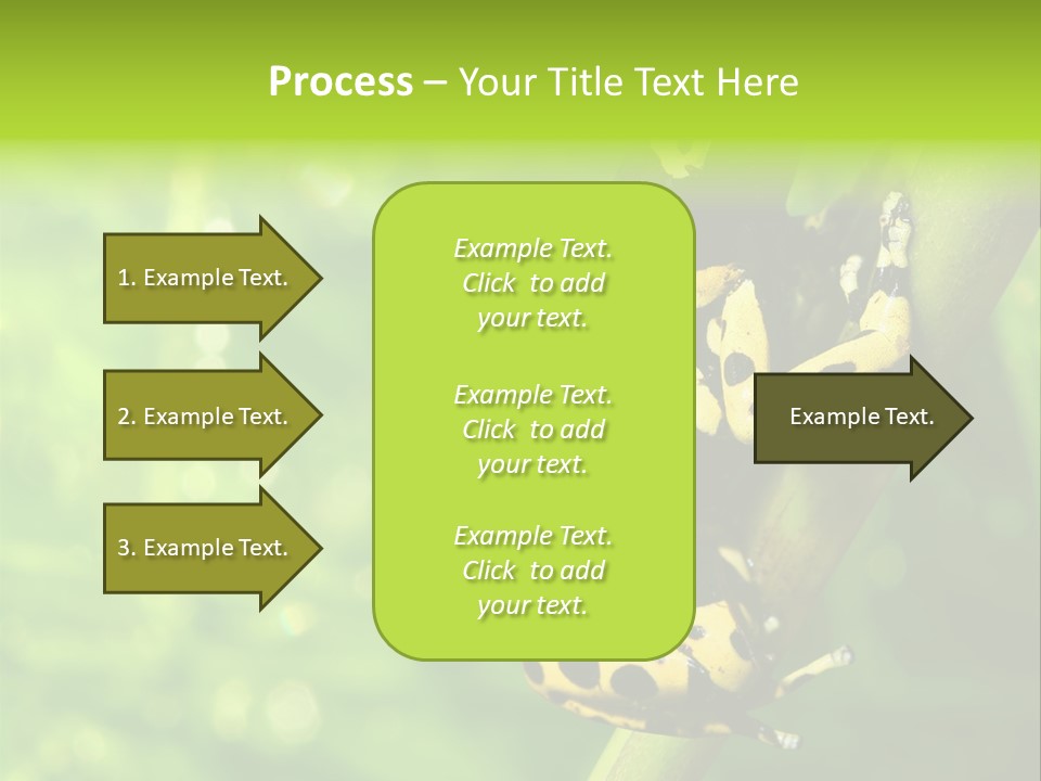 Ecology Reptile Poison PowerPoint Template