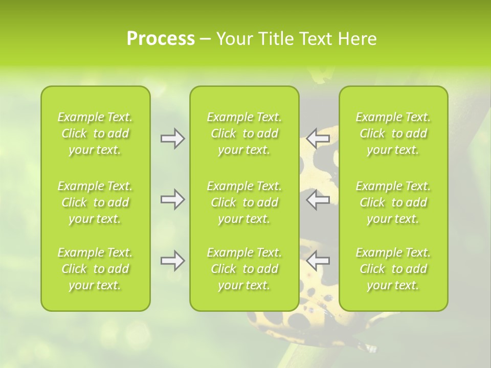 Ecology Reptile Poison PowerPoint Template