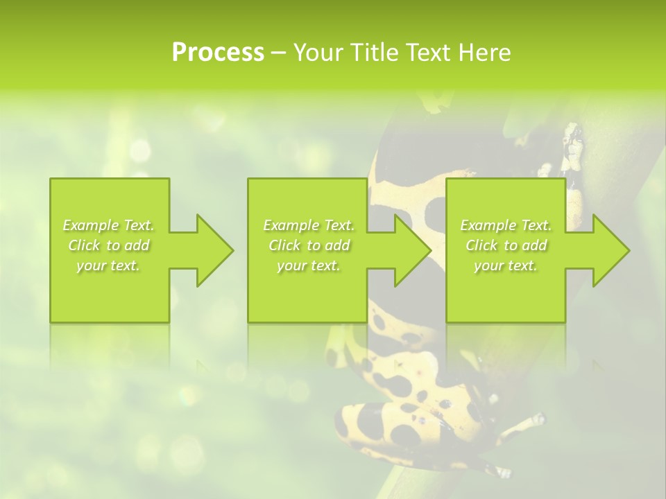 Ecology Reptile Poison PowerPoint Template