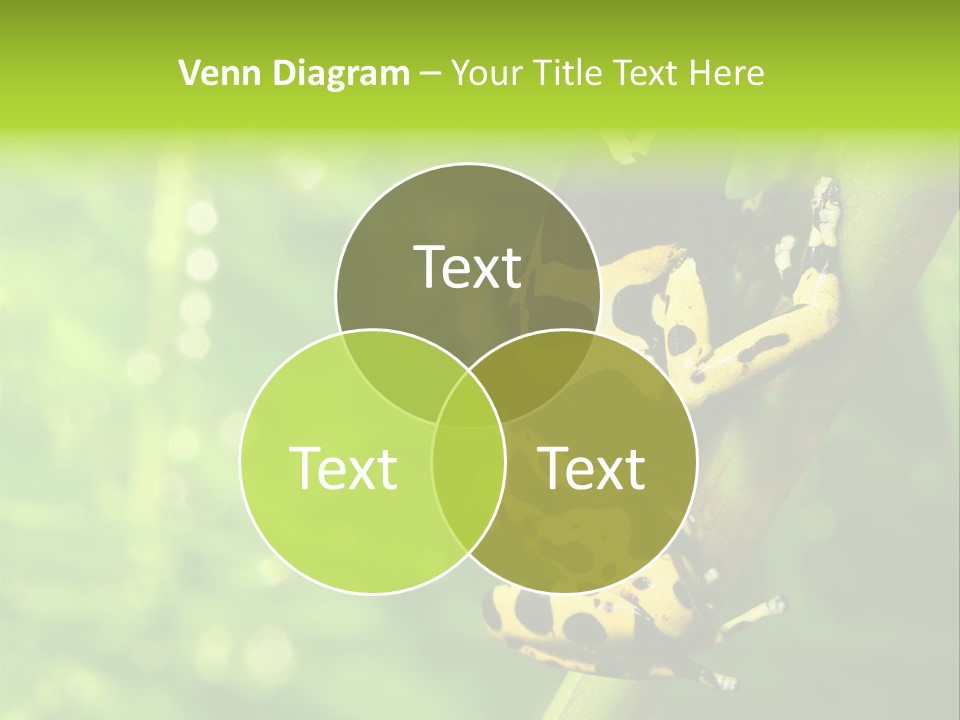 Ecology Reptile Poison PowerPoint Template