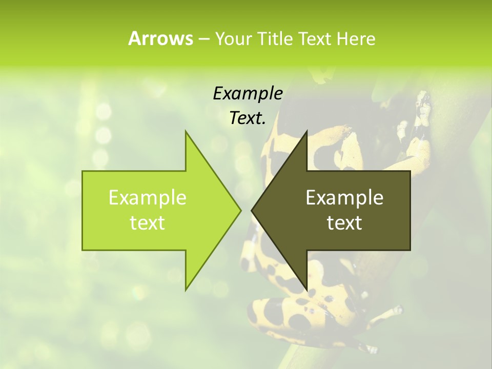 Ecology Reptile Poison PowerPoint Template