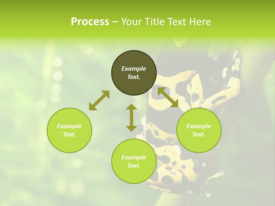 Ecology Reptile Poison PowerPoint Template