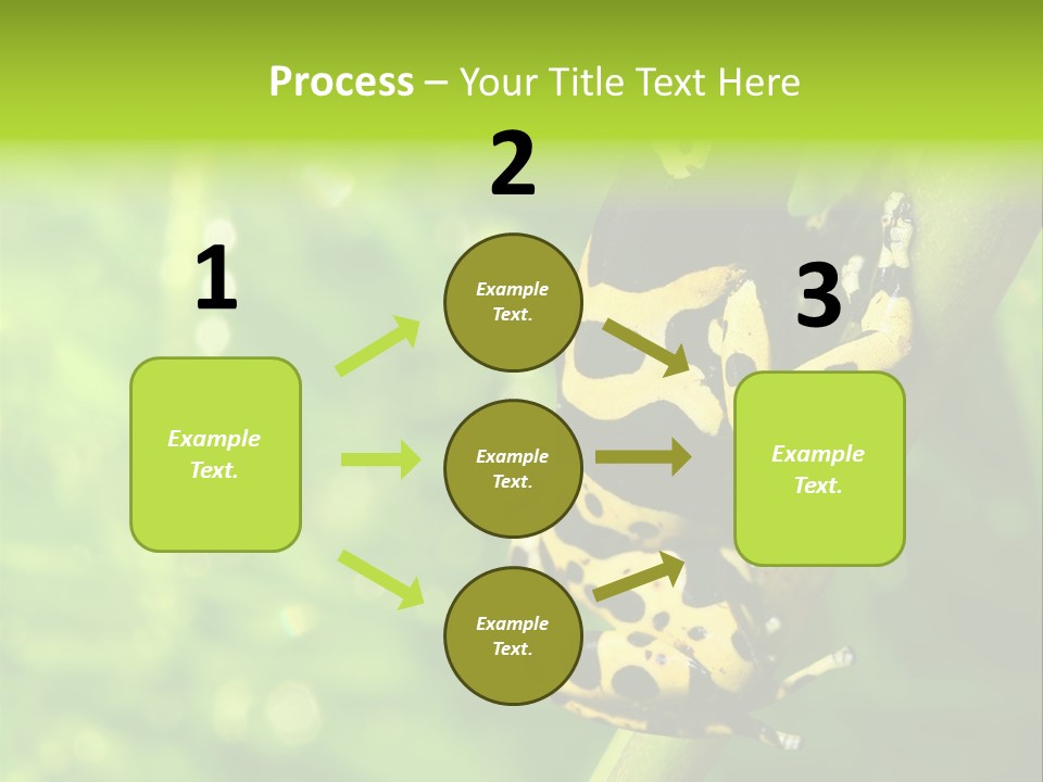 Ecology Reptile Poison PowerPoint Template