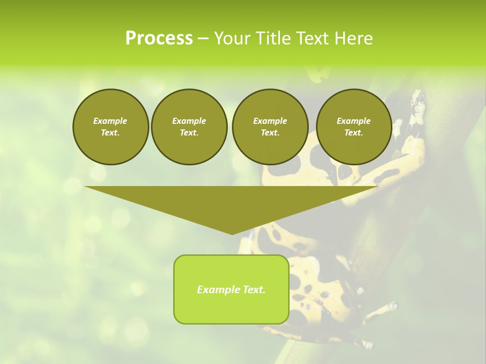 Ecology Reptile Poison PowerPoint Template