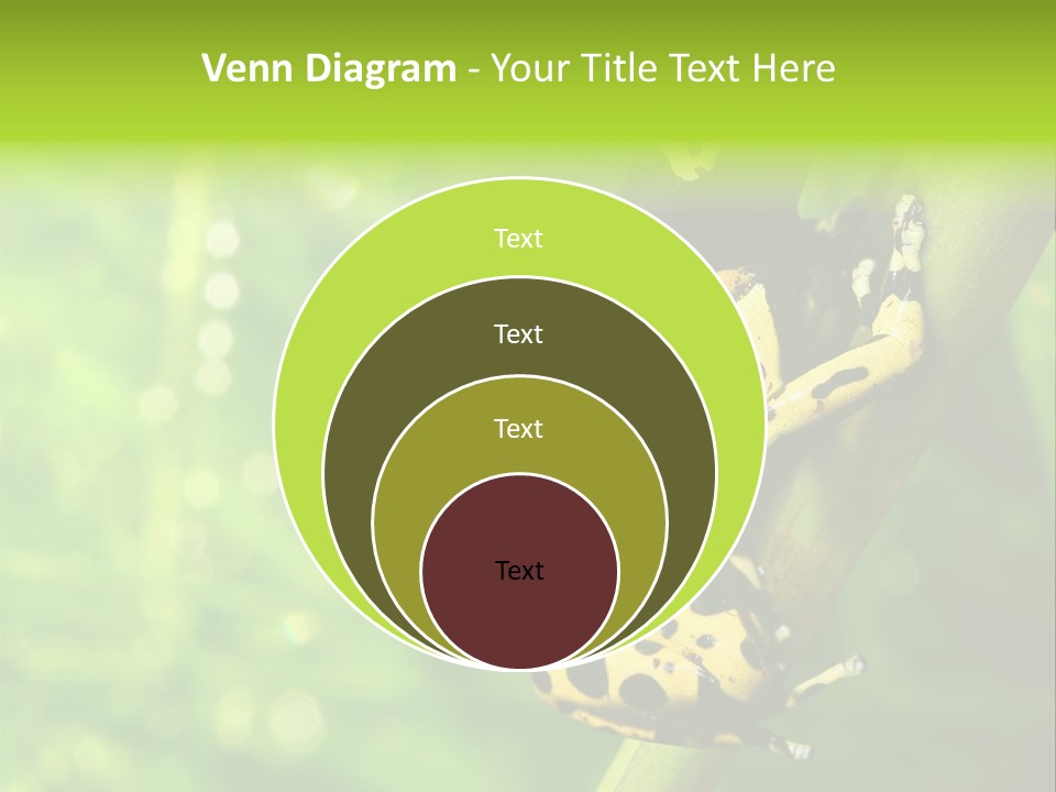 Ecology Reptile Poison PowerPoint Template