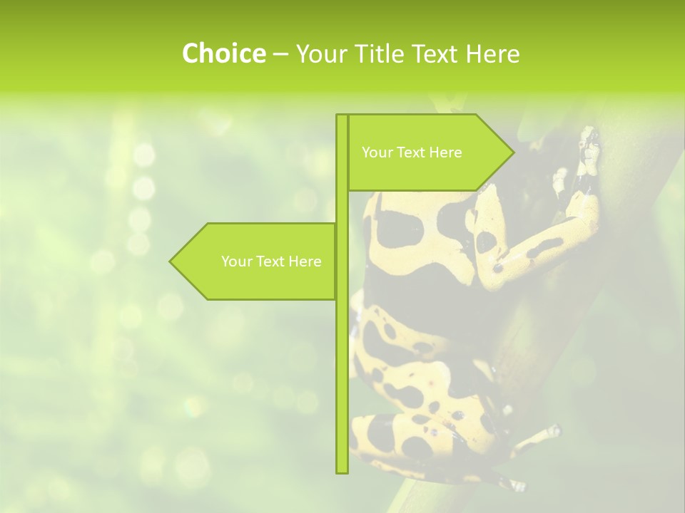 Ecology Reptile Poison PowerPoint Template