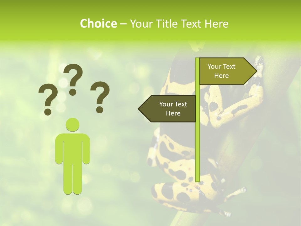 Ecology Reptile Poison PowerPoint Template