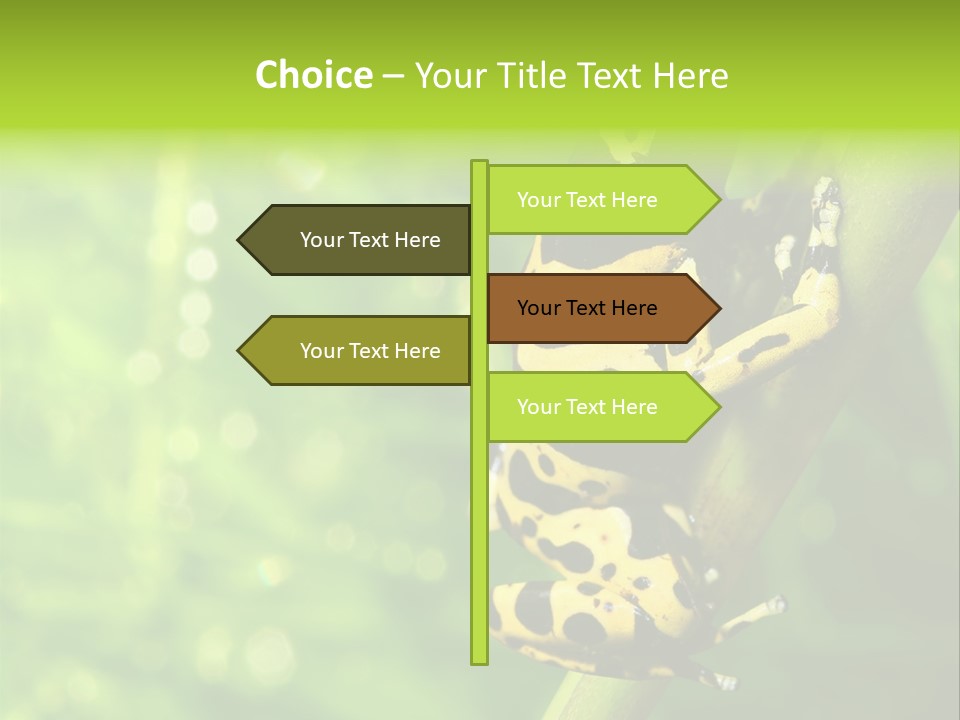 Ecology Reptile Poison PowerPoint Template