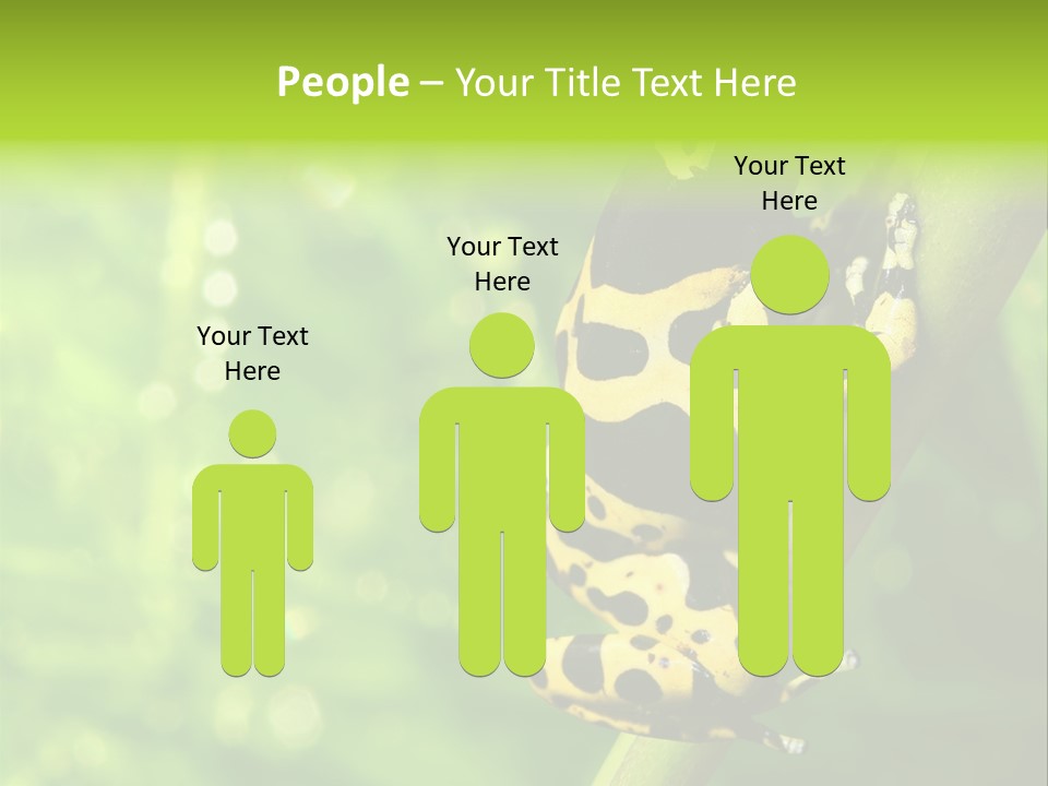 Ecology Reptile Poison PowerPoint Template