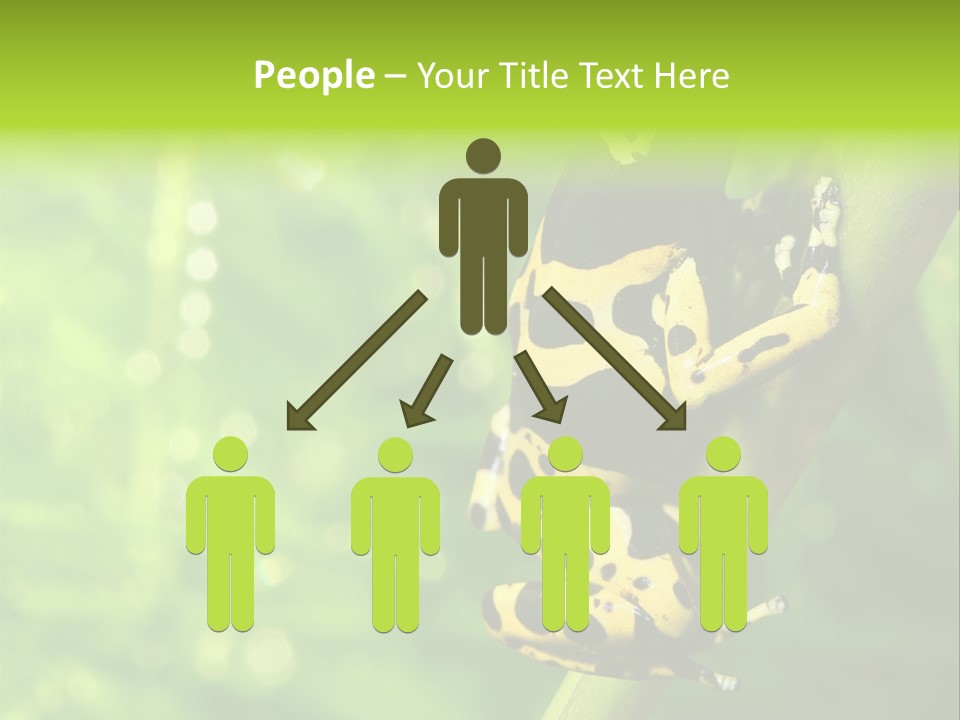 Ecology Reptile Poison PowerPoint Template