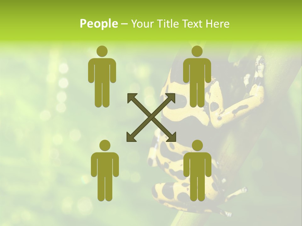 Ecology Reptile Poison PowerPoint Template