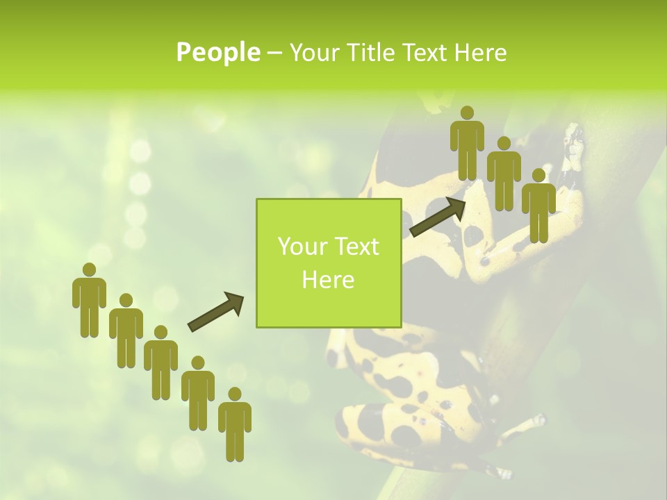 Ecology Reptile Poison PowerPoint Template