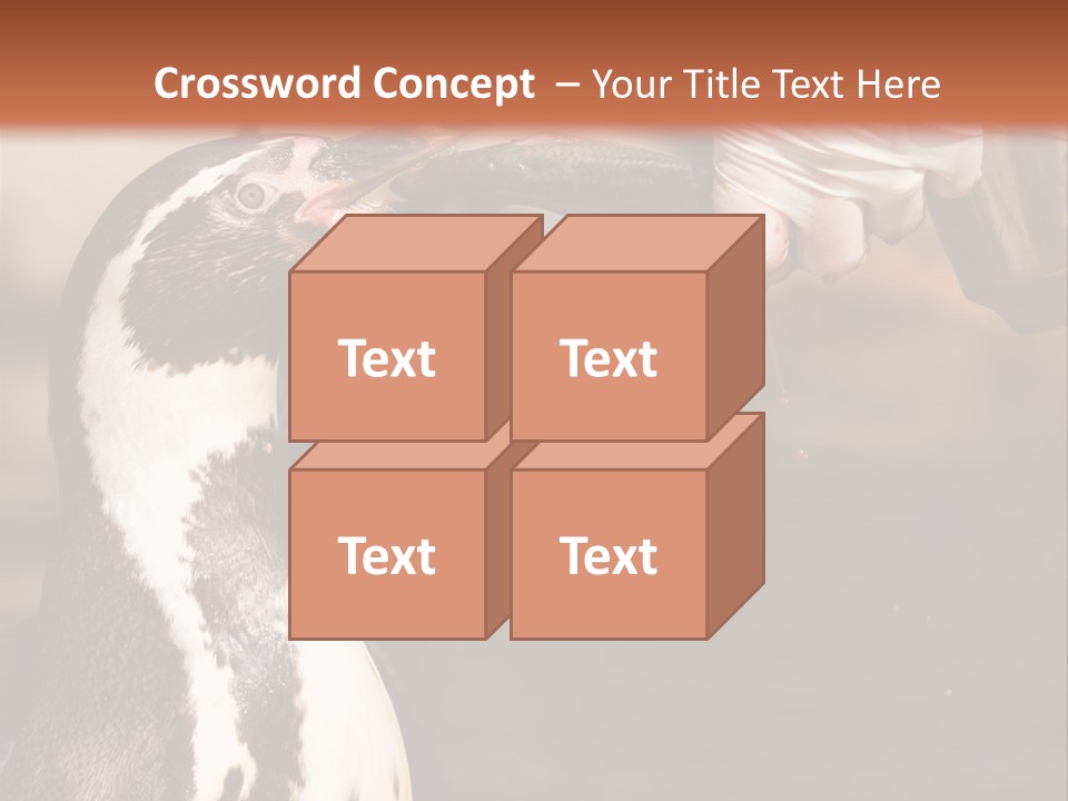 Sea Animal Enjoy PowerPoint Template