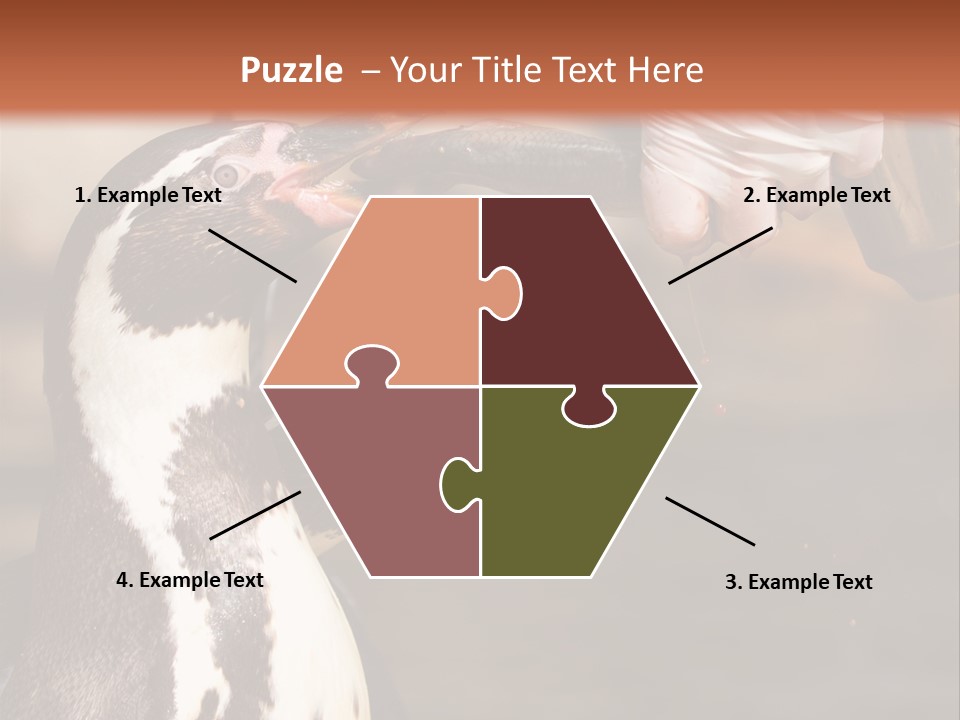 Sea Animal Enjoy PowerPoint Template