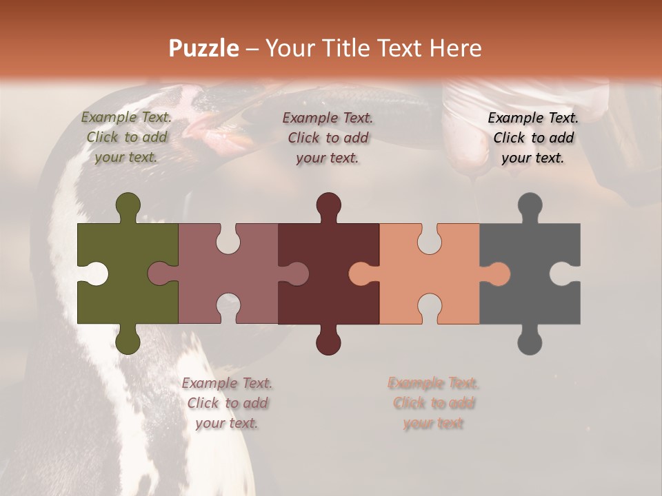 Sea Animal Enjoy PowerPoint Template