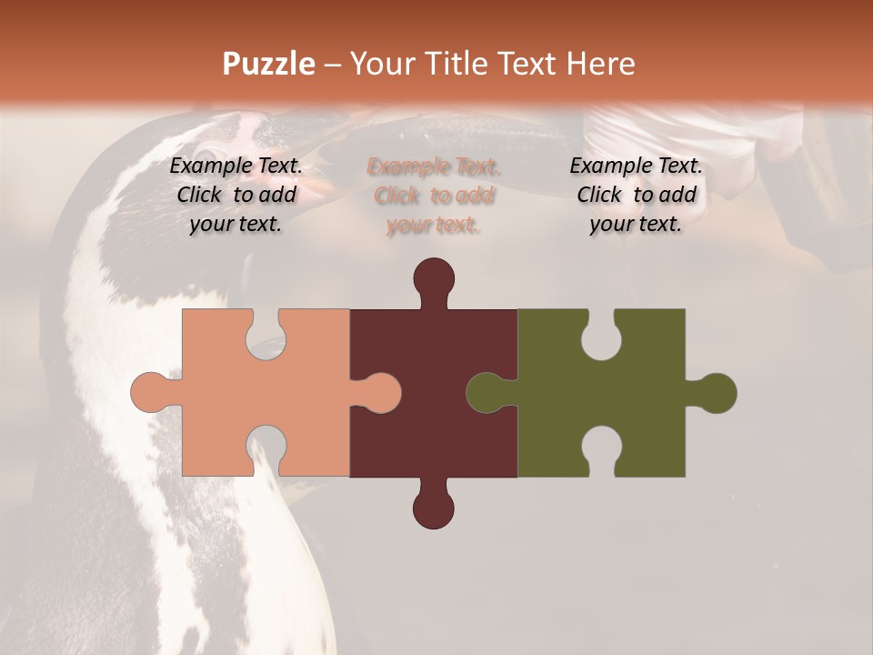 Sea Animal Enjoy PowerPoint Template