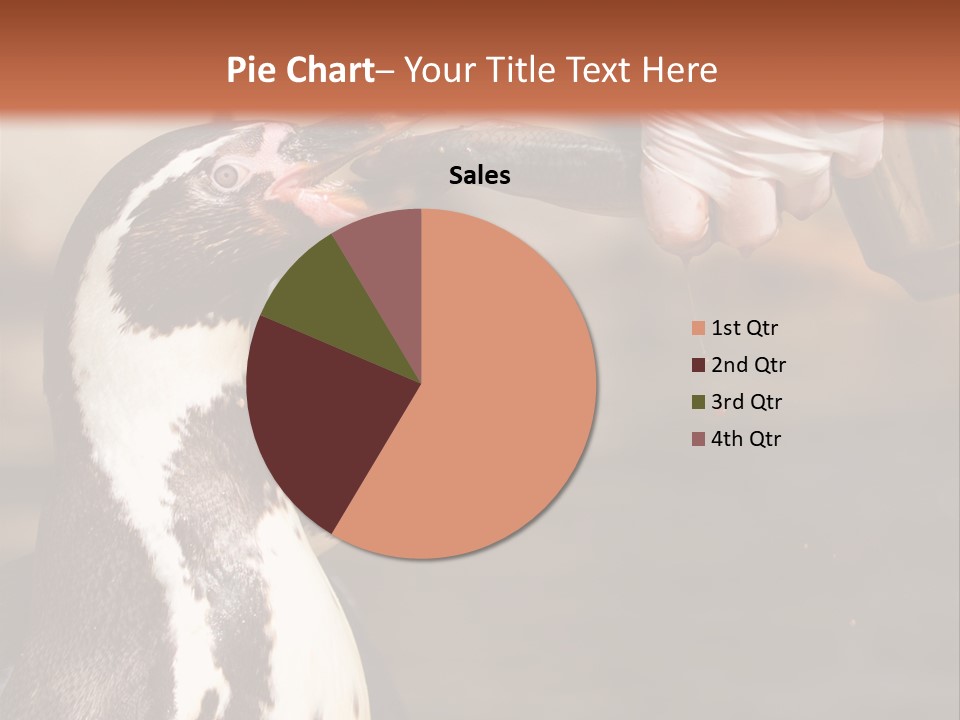 Sea Animal Enjoy PowerPoint Template