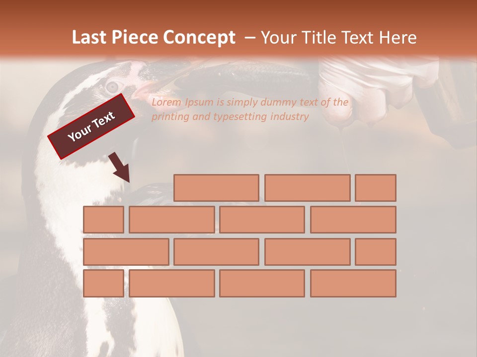 Sea Animal Enjoy PowerPoint Template