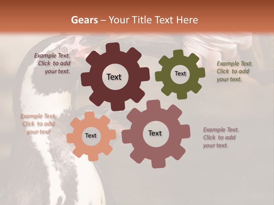 Sea Animal Enjoy PowerPoint Template