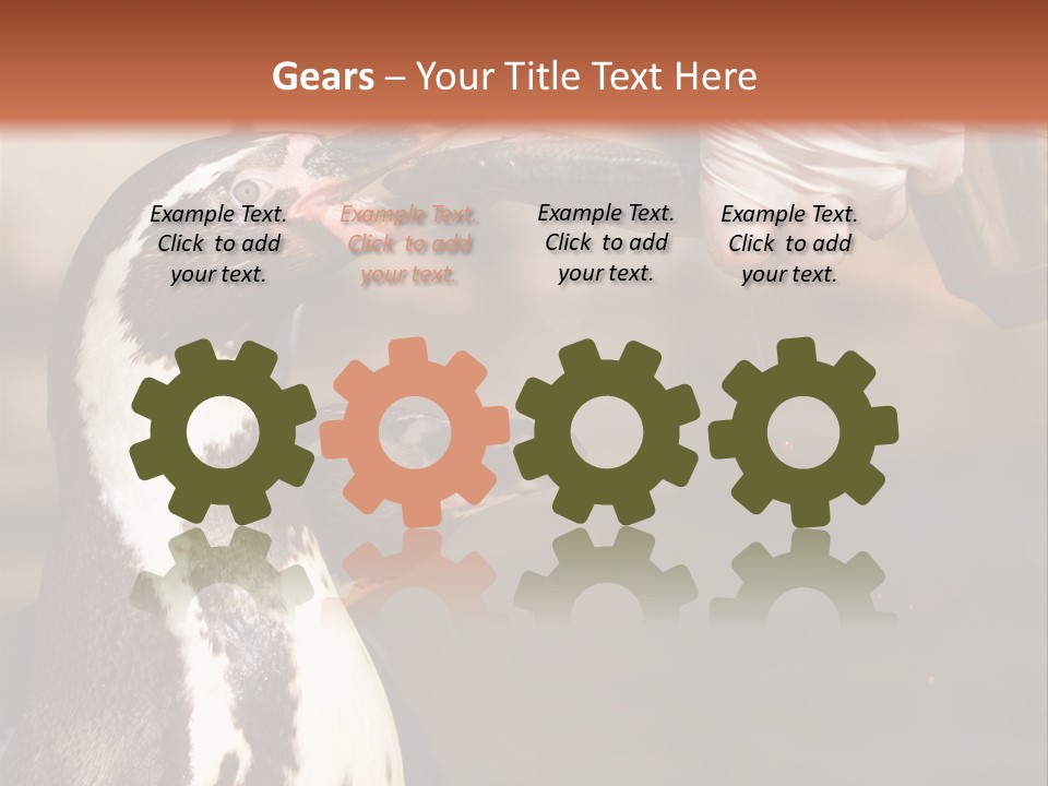 Sea Animal Enjoy PowerPoint Template