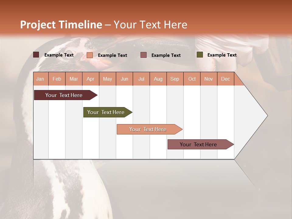 Sea Animal Enjoy PowerPoint Template