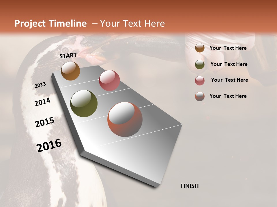 Sea Animal Enjoy PowerPoint Template