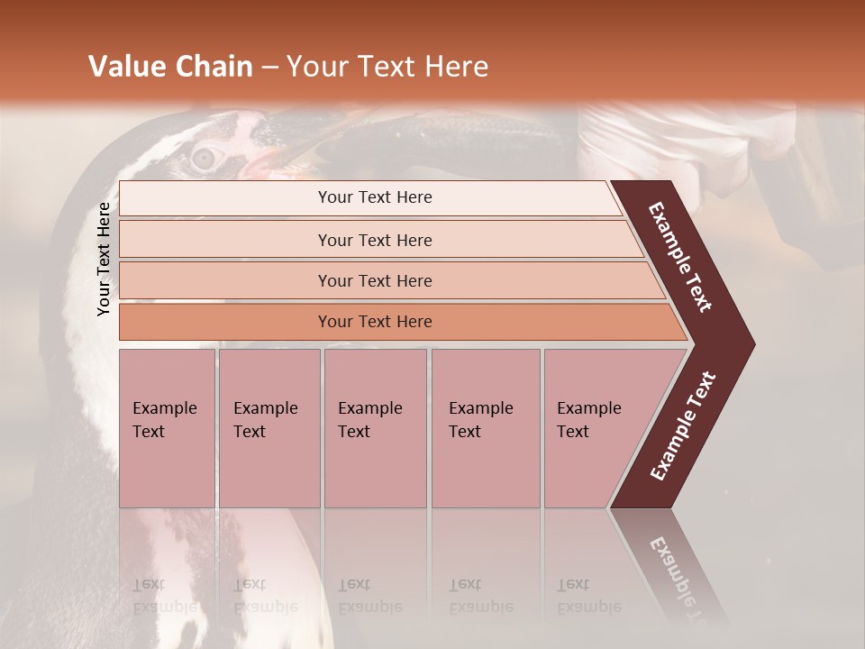 Sea Animal Enjoy PowerPoint Template