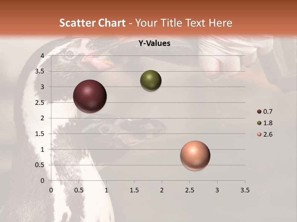 Sea Animal Enjoy PowerPoint Template