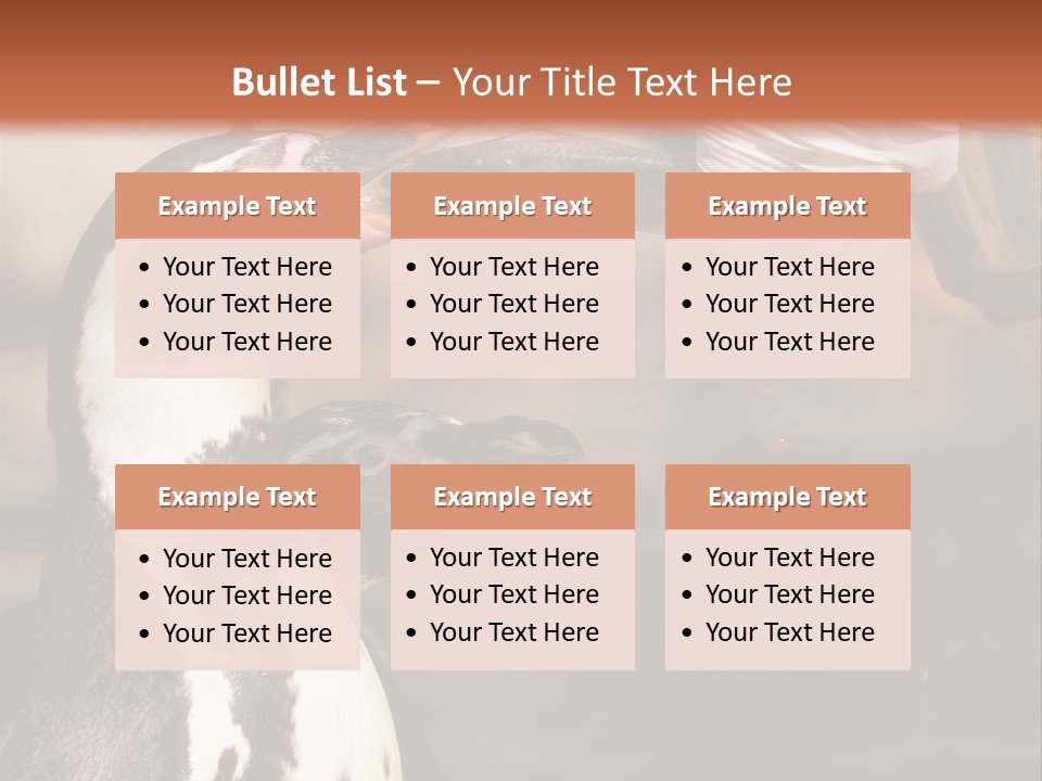 Sea Animal Enjoy PowerPoint Template