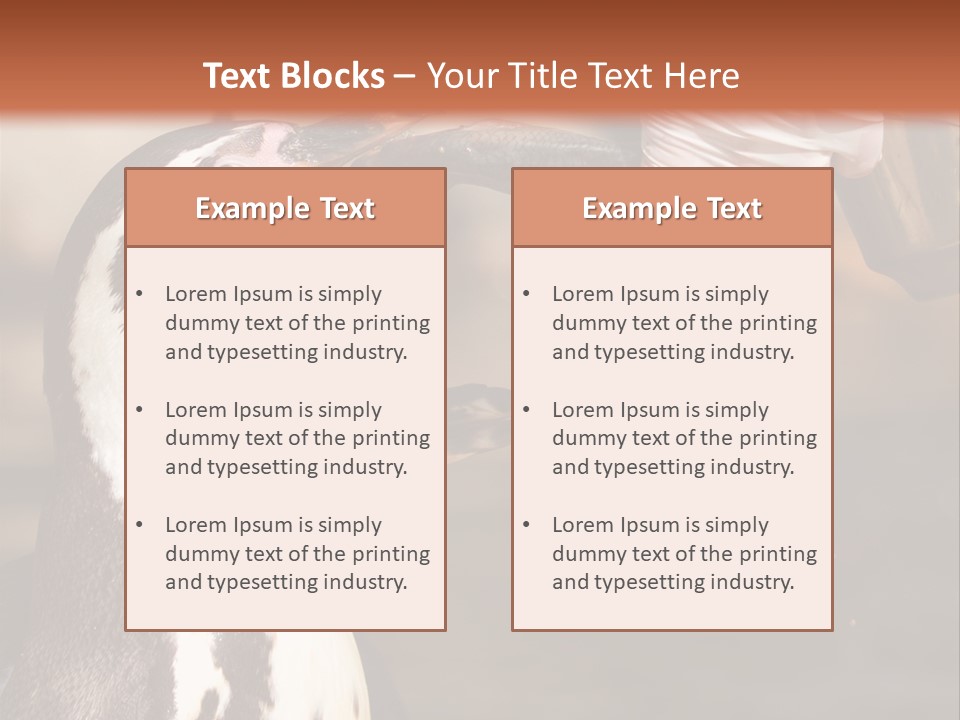 Sea Animal Enjoy PowerPoint Template