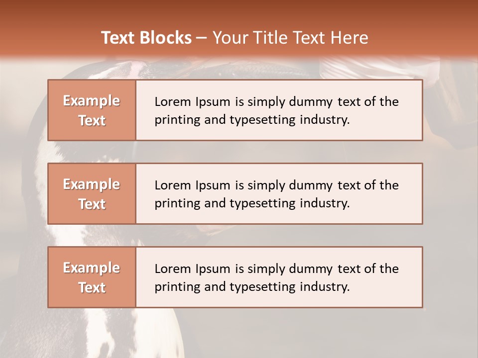 Sea Animal Enjoy PowerPoint Template