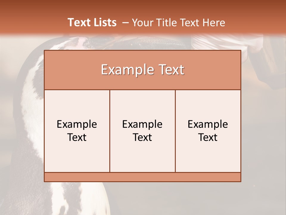 Sea Animal Enjoy PowerPoint Template