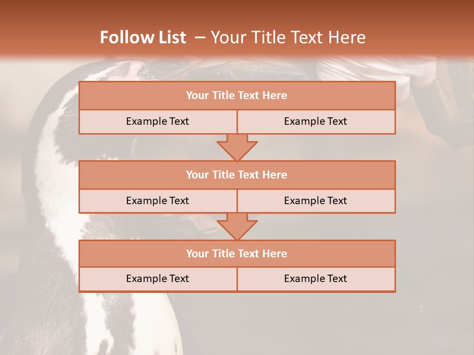 Sea Animal Enjoy PowerPoint Template