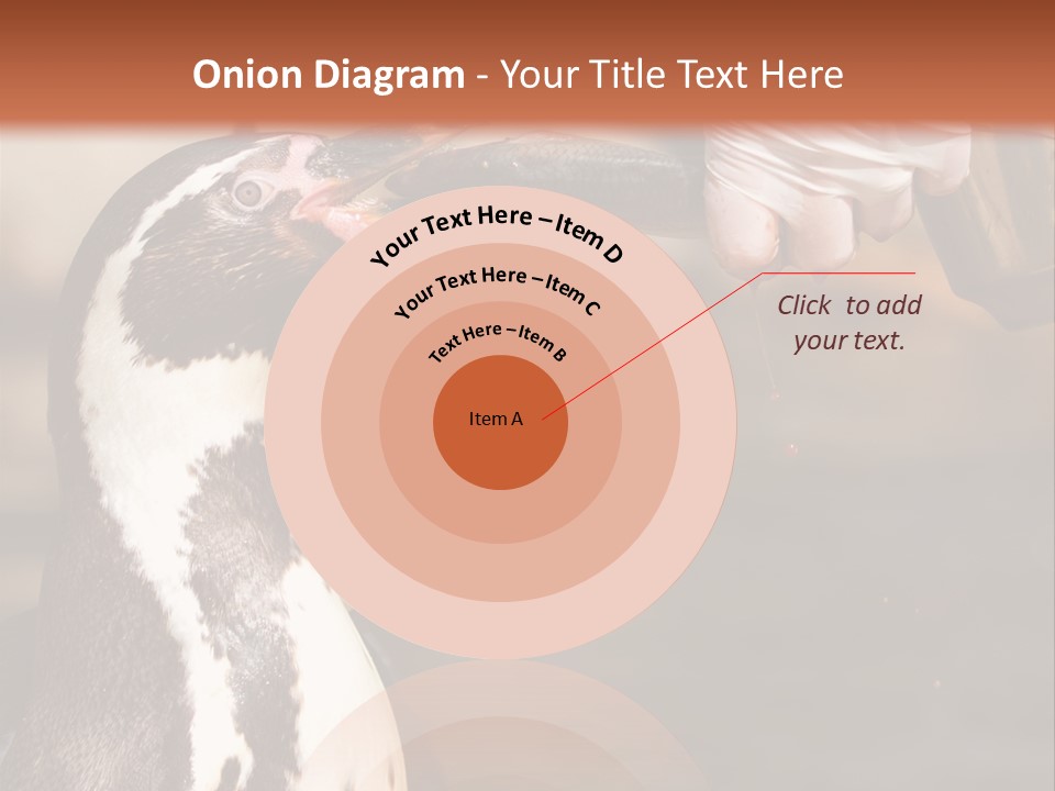 Sea Animal Enjoy PowerPoint Template