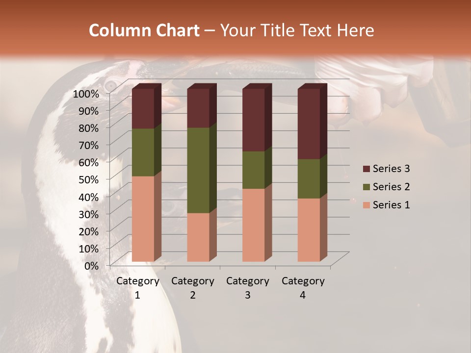 Sea Animal Enjoy PowerPoint Template