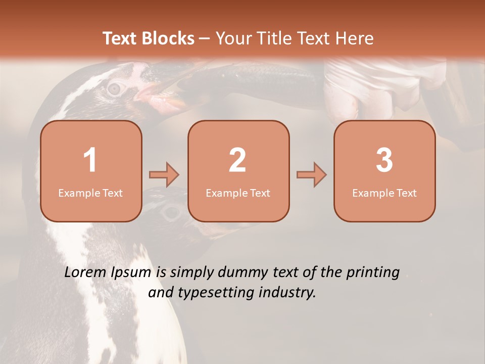 Sea Animal Enjoy PowerPoint Template