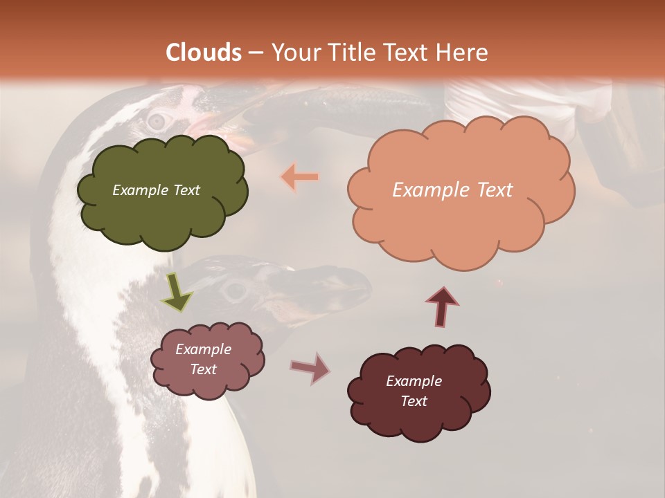 Sea Animal Enjoy PowerPoint Template