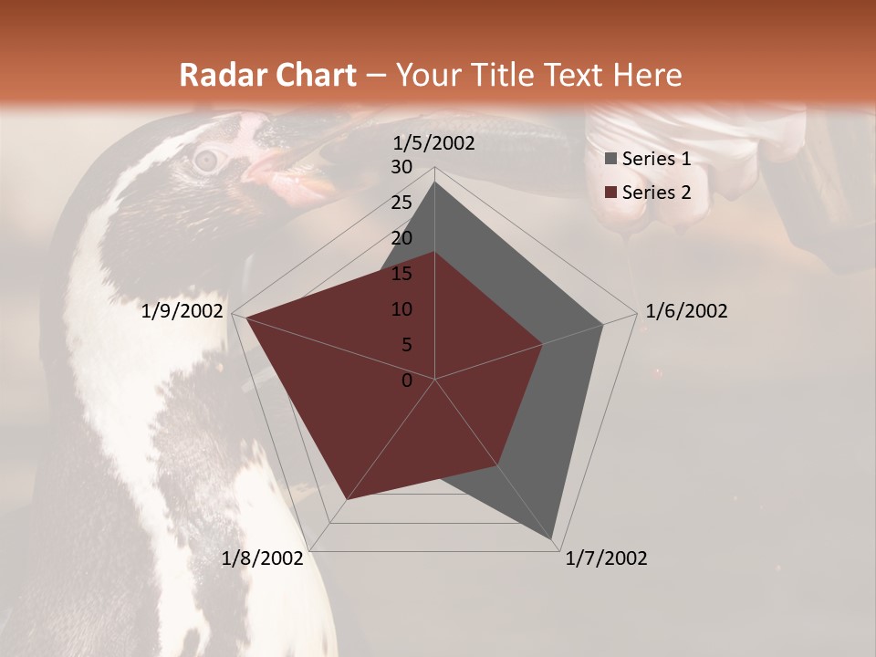 Sea Animal Enjoy PowerPoint Template