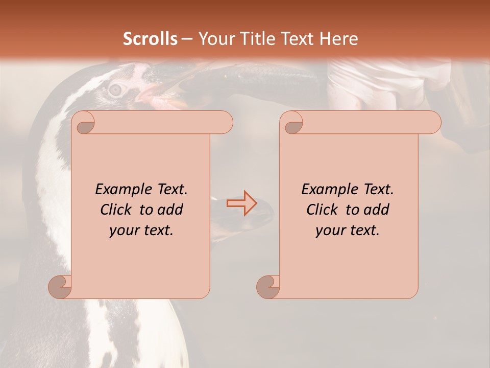 Sea Animal Enjoy PowerPoint Template