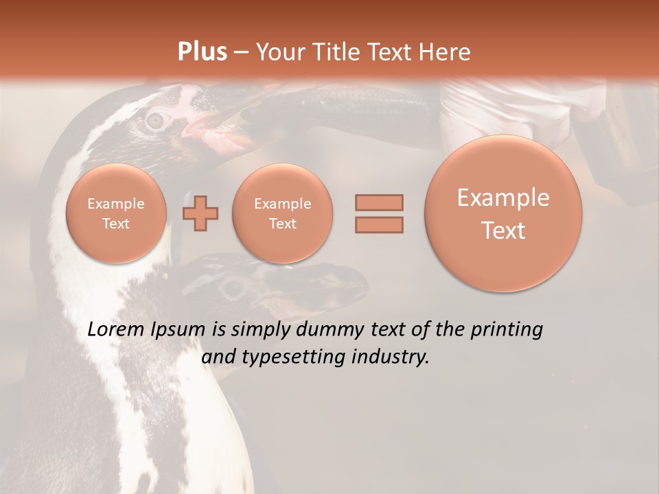 Sea Animal Enjoy PowerPoint Template