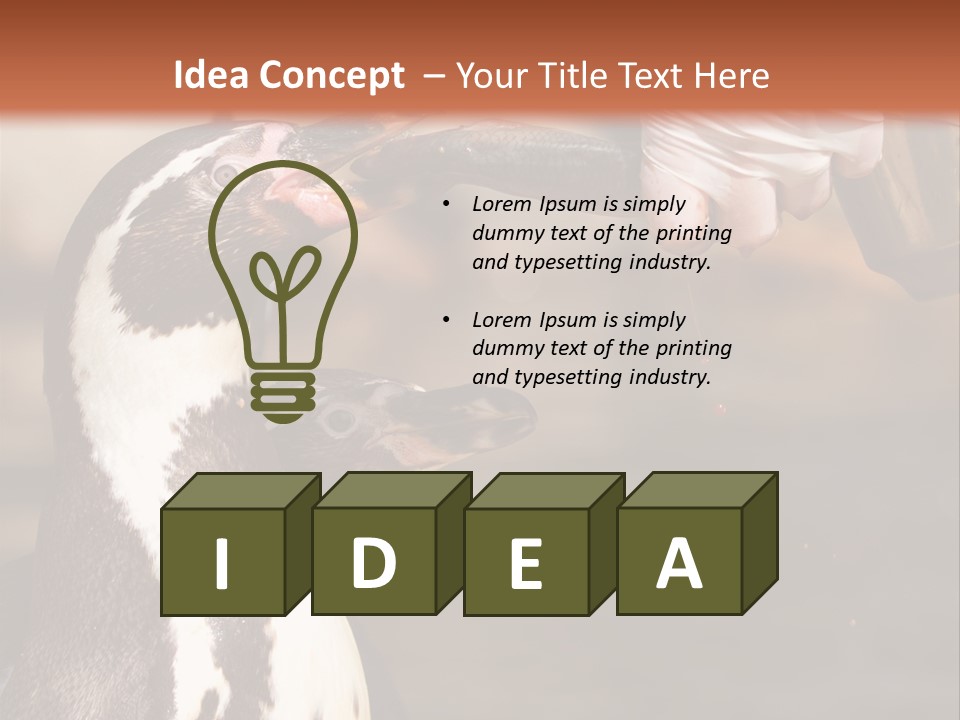 Sea Animal Enjoy PowerPoint Template